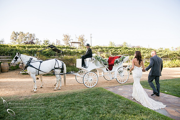 Wedding photo with horse carriage at Lake Oak Meadows, Temecula Winery Photographer