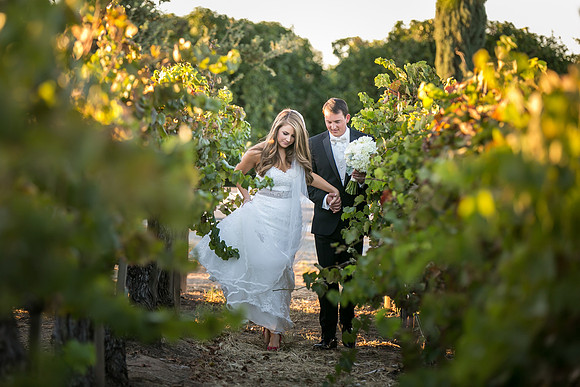 Beautiful wedding at Wiens Family Cellars Temecula Winery - Sarah & Shawn