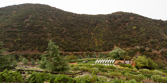 Wedding Photos at Serendipity Garden Weddings - Sandra and Robert-166