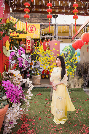 mother and daughter lunar new year viet tet photo orange county los angeles wedding photographer-72
