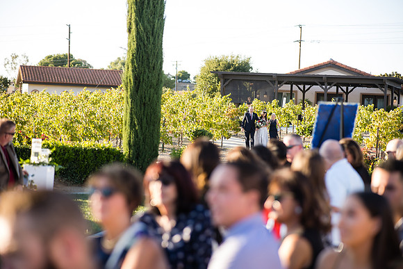 Temecula Wedding Photographer at Avensole Winery, Haley & Tristian-384