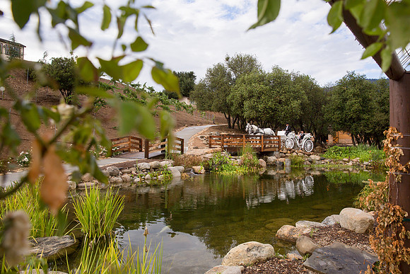 Wedding Photos at Serendipity Garden Weddings - Sandra and Robert-001