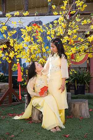mother and daughter lunar new year viet tet photo orange county los angeles wedding photographer-38
