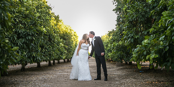 Beautiful wedding at Wiens Family Cellars Temecula Winery - Sarah & Shawn