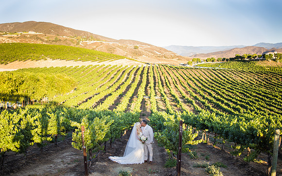 Leoness Temecula Winery Wedding by Orange County Photographer, Leatha & Mark-245