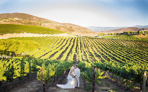 Leoness Temecula Winery Wedding by Orange County Photographer, Leatha & Mark-246
