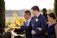 Temecula Wedding Photographer at Avensole Winery, Haley & Tristian-354