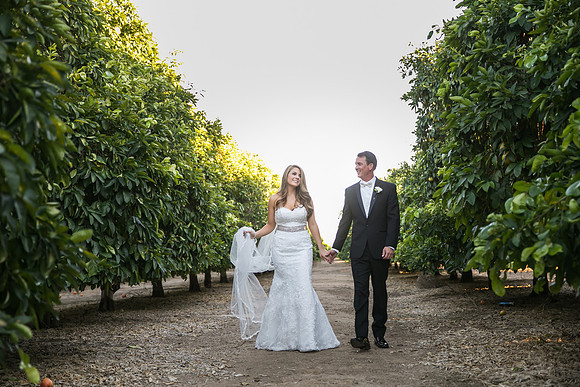 Beautiful wedding at Wiens Family Cellars Temecula Winery - Sarah & Shawn