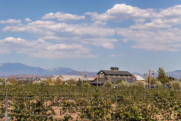 Ponte Winery by Photoquest Studio, Photography - Temecula Wedding Photographer