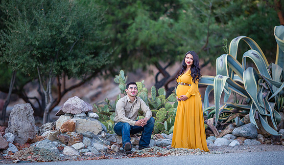 maternity photo with horse by orange county los angeles temecula riverside photographer (2)