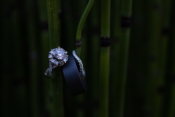 Leoness Temecula Winery Wedding by Orange County Photographer, Leatha & Mark-293