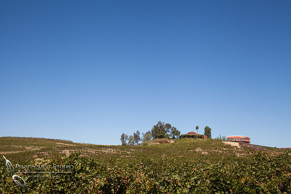 Beautiful Temecula wedding winery wedding photo, Falkner winery