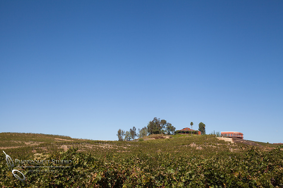 Beautiful Temecula wedding winery wedding photo, Falkner winery