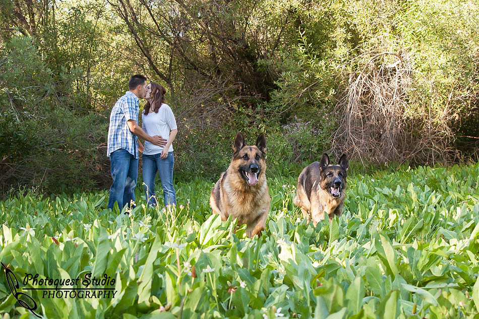 Temecula Wedding Photographer captured romantic outdoor Engagement photos with dog by Natural Light in Fallbrook, San Diego