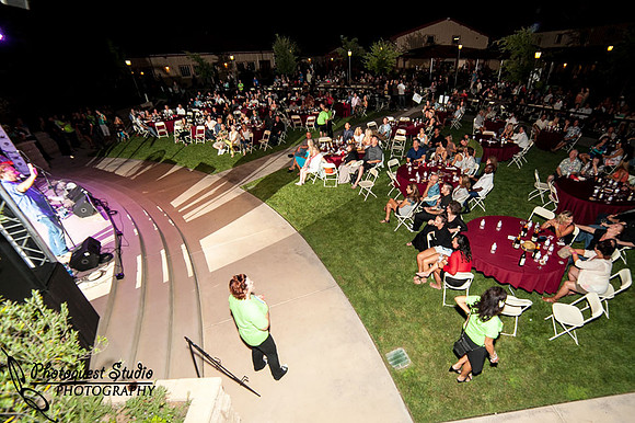 Temecula Wedding Photographer, Concert Photographer at Wiens Family Cellars Winery, The English Beat