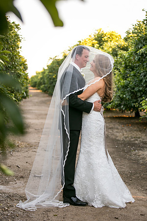 Beautiful wedding at Wiens Family Cellars Temecula Winery - Sarah & Shawn