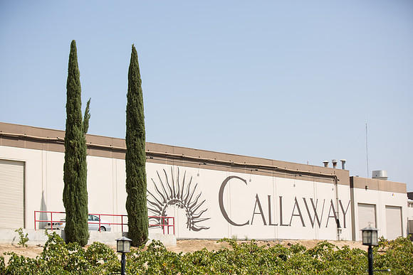 Surprise Proposal at Callaway, Temecula Winery by Wedding Photographer of Photoquest Studio - Tim & Megan