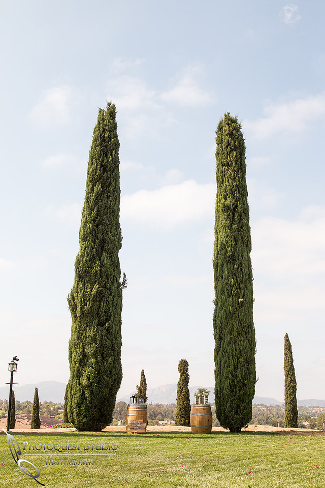 Surprise Proposal at Callaway, Temecula Winery by Wedding Photographer of Photoquest Studio - Tim & Megan