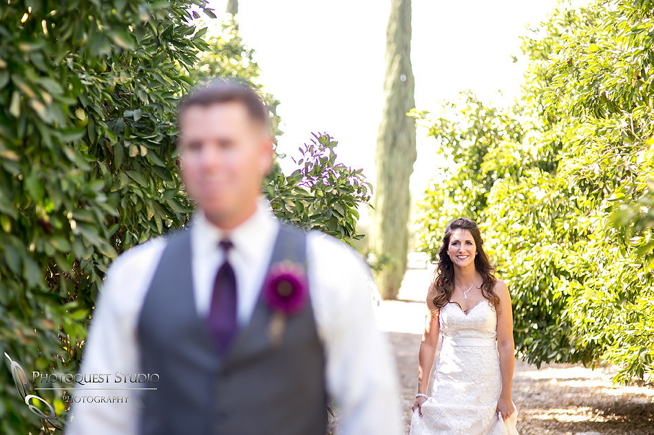Wedding Photo at Temecula Winery, Wiens Family Cellars by Temecula Wedding Photographer, Amanda and Jonathon