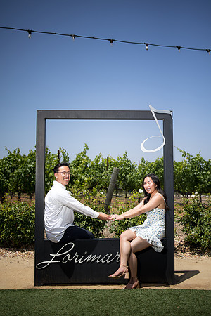 nina les orange county wedding photographer lorimar temecula winery surprise proposal-136