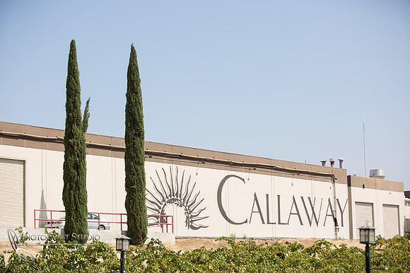 Surprise Proposal at Callaway, Temecula Winery by Wedding Photographer of Photoquest Studio - Tim & Megan
