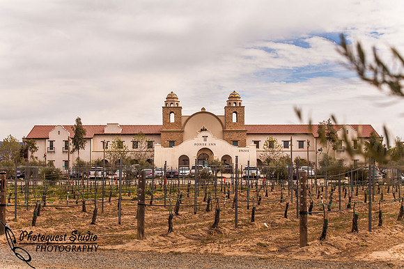 Wedding Photos at Ponte Temecula Winery