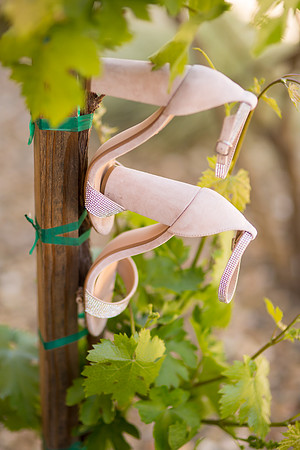 Temecula Wedding Photographer, Paige and Alex at Wiens Winery-14