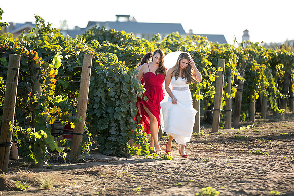 Beautiful wedding at Wiens Family Cellars Temecula Winery - Sarah & Shawn