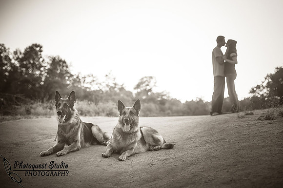 Temecula Wedding Photographer captured romantic outdoor Engagement photos with dog by Natural Light in Fallbrook, San Diego
