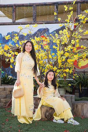 mother and daughter lunar new year viet tet photo orange county los angeles wedding photographer-40